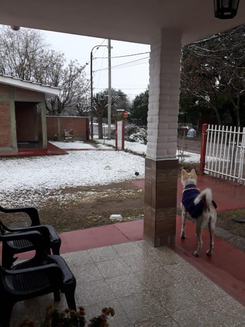 Winter