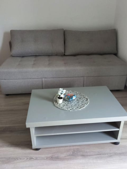 Iva apartmani Apartment in Federation of Bosnia and Herzegovina