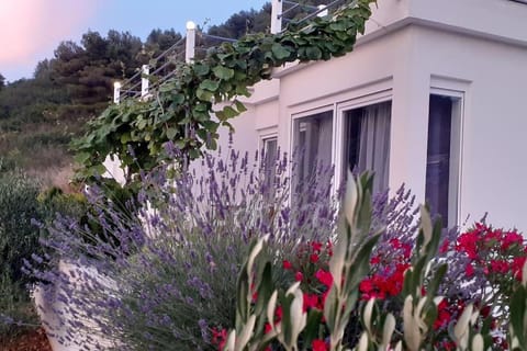 Vis - luxury holiday villa with swimming pool Villa in Vis