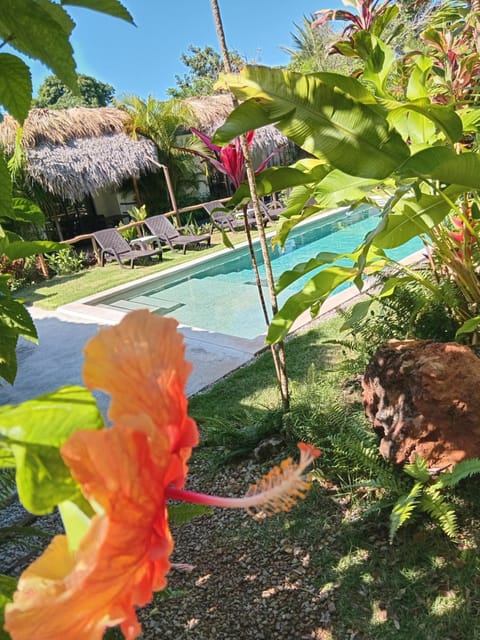 Spring, Day, Summer, Garden, Garden, Garden view, Garden view, Pool view, Pool view, Swimming pool, Swimming pool, Seasons, Time of day
