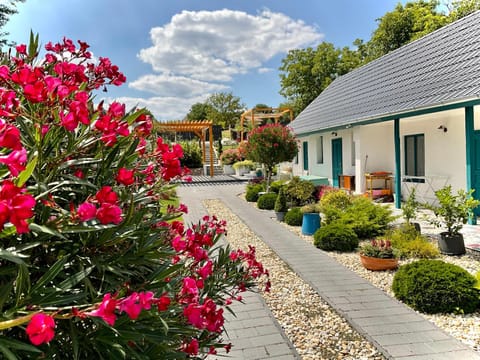 Property building, Garden