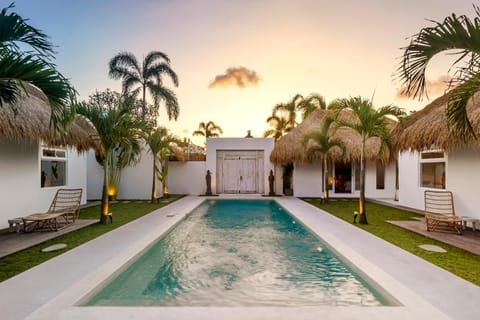 Garden, Garden view, Pool view, Swimming pool, Swimming pool, Sunset, sunbed