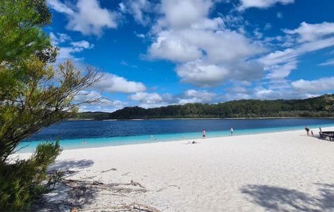 Day, Natural landscape, Beach, Lake view