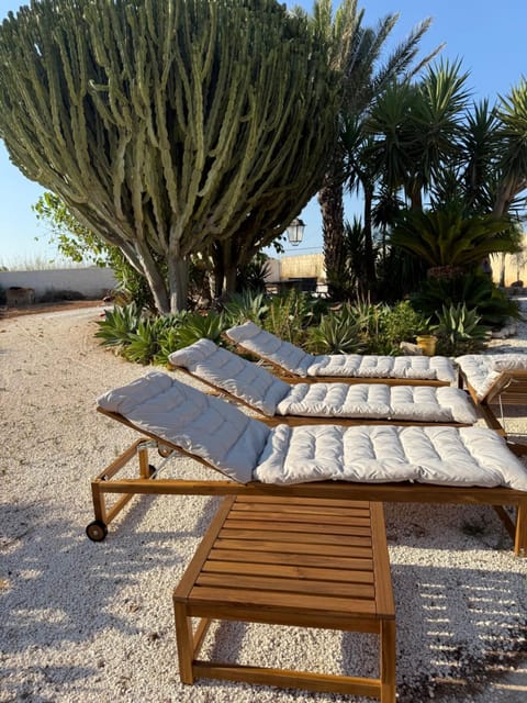 Natural landscape, Garden, sunbed