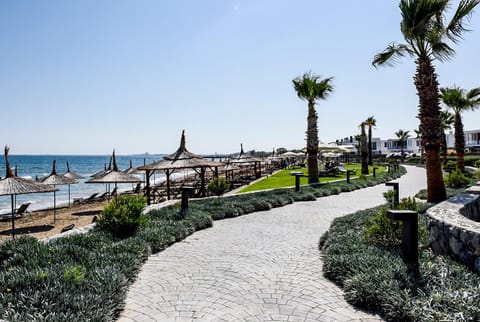 Beach, Garden view