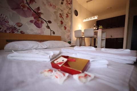 Apartman Dana Apartment in Vojvodina