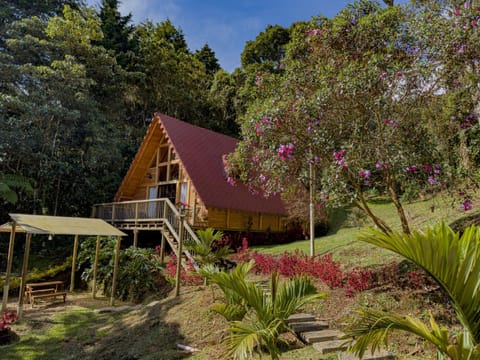 Property building, Day, Natural landscape, Garden, Garden view