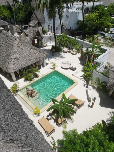 Property building, Garden, Garden view, Pool view, Swimming pool