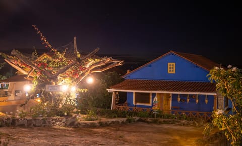 Night, Garden view