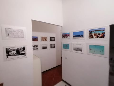 Gallery House Apartment in Fermo