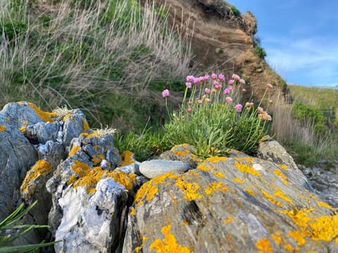 Sea Spirit - Sweeping Sea Views first floor spacious modern apartment in Looe- with FREE parking! Apartment in Looe