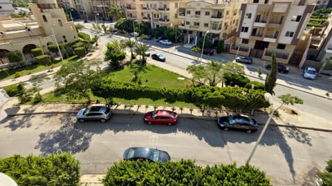 Bird's eye view, City view, Street view
