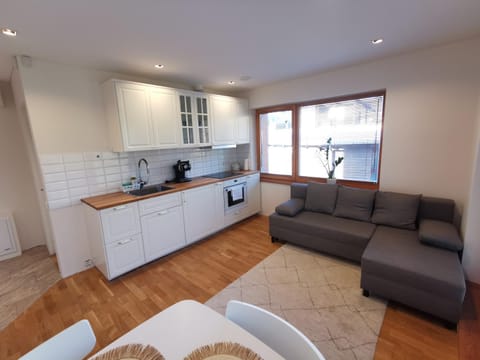 Coffee/tea facilities, Kitchen or kitchenette, Living room, Seating area, Dining area, pet friendly, stove