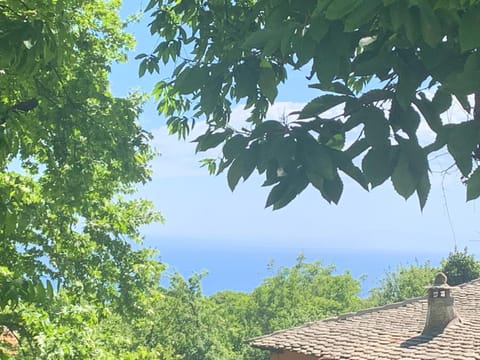 Sea view