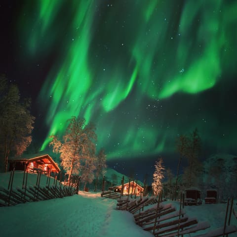 Winter