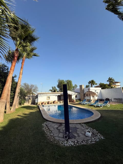 Garden, Pool view, Swimming pool