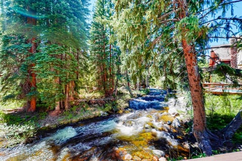 Vasquez Vista House in Fraser