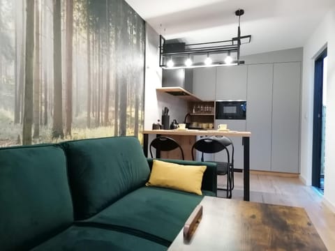 Kitchen or kitchenette, Seating area, Dining area