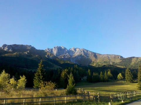 Spring, Day, Summer, Area and facilities