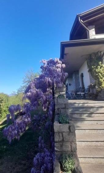 Property building, Facade/entrance, Garden