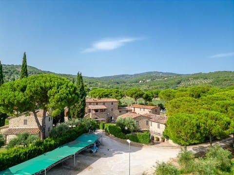 La Casa Colonica wine and oil Farm Stay in Umbria
