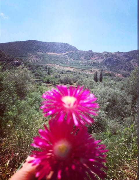 Orea Kaliva Apartment in Crete