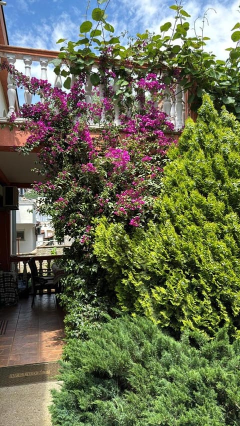 Property building, Garden, pet friendly