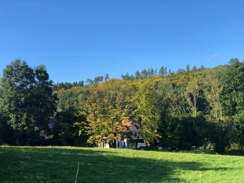 Property view