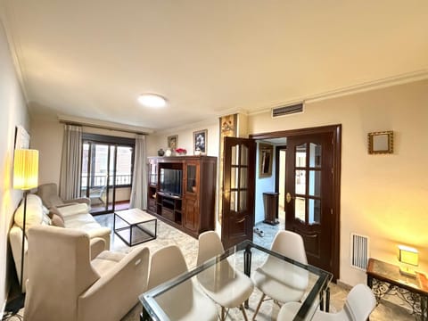 TV and multimedia, Living room, Seating area, air conditioner
