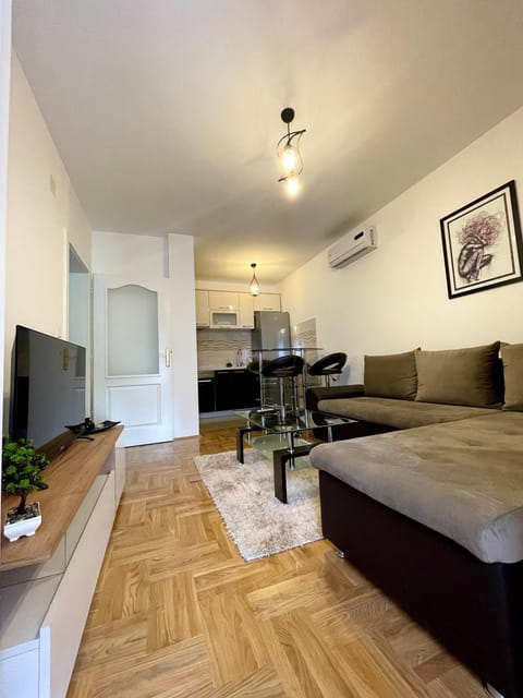 Expensive apartment Apartment in Vojvodina