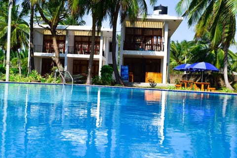 Day, Pool view, Swimming pool, sunbed