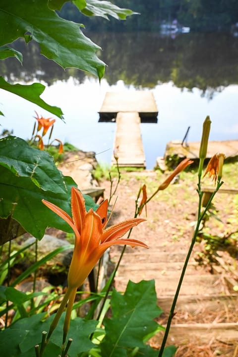 Day, Natural landscape, Garden view, River view
