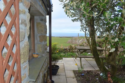 Spring, Day, Natural landscape, Garden, Garden view, Sea view