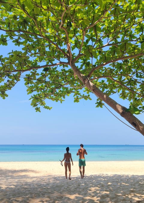 People, Beach, Sea view, group of guests