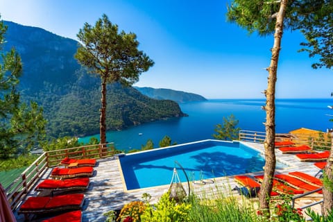 Pool view, Swimming pool