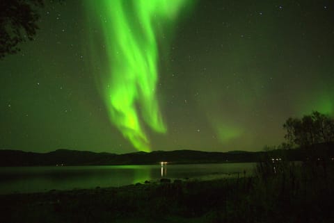 Night, Activities, Winter, Beach, Seasons