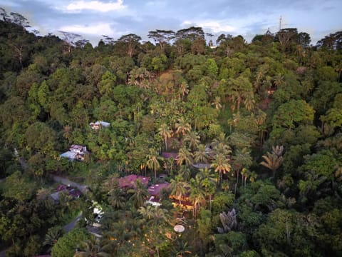 Property building, Bird's eye view, View (from property/room)