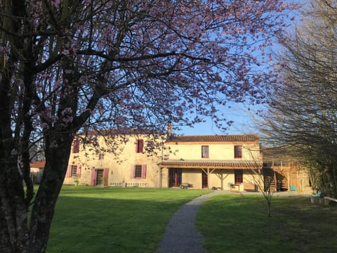 Property building, Garden, Garden, Garden view