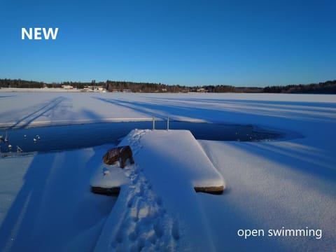 Day, Natural landscape, Winter, Swimming pool