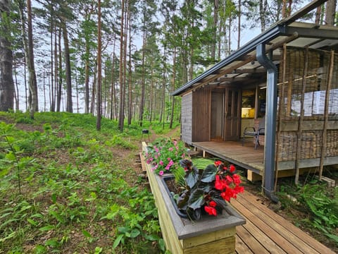 Property building, Natural landscape