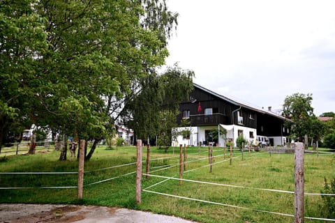 Property building, Garden, Garden, Garden view