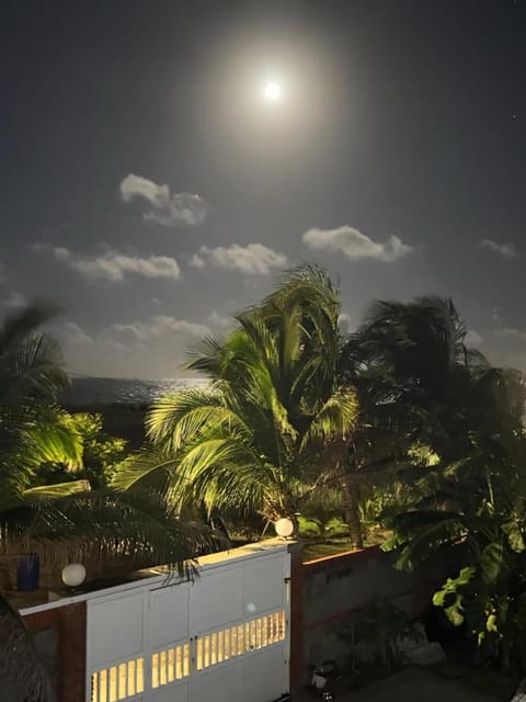 Night, Garden view