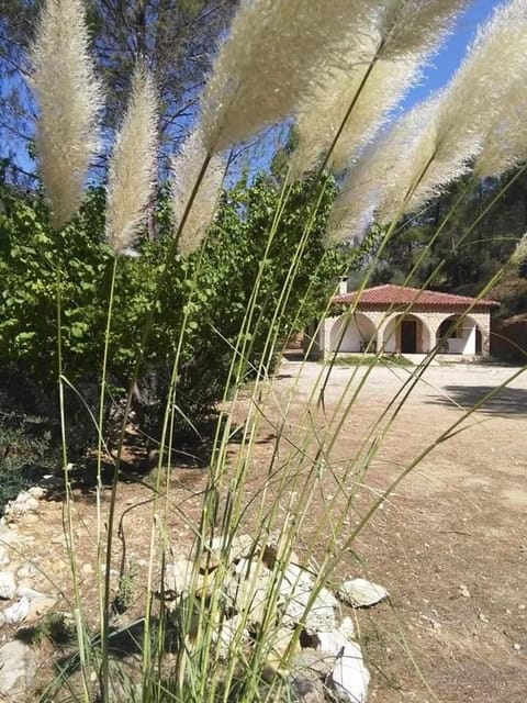 Property building, Natural landscape