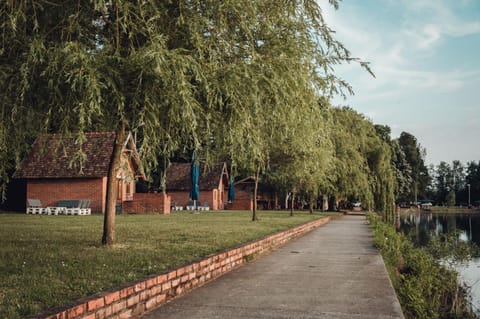 Neighbourhood, Lake view, Street view