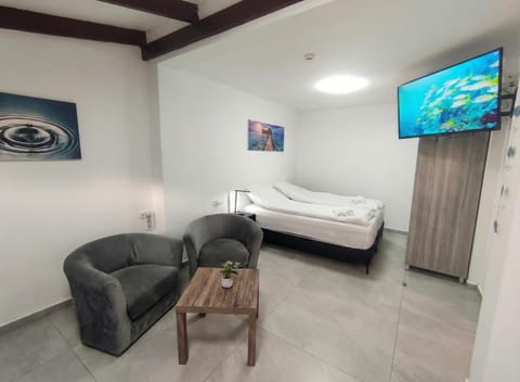 Bed, TV and multimedia