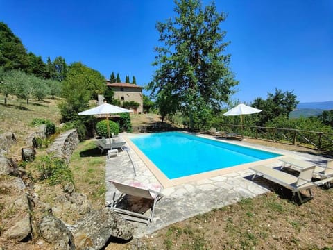Garden, Garden view, Pool view, sunbed