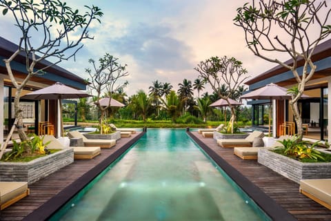 Natural landscape, Garden, Garden view, Pool view, Swimming pool, internet, sunbed