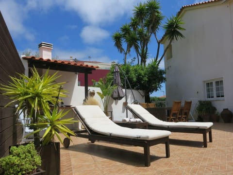 Garden, Garden view, sunbed