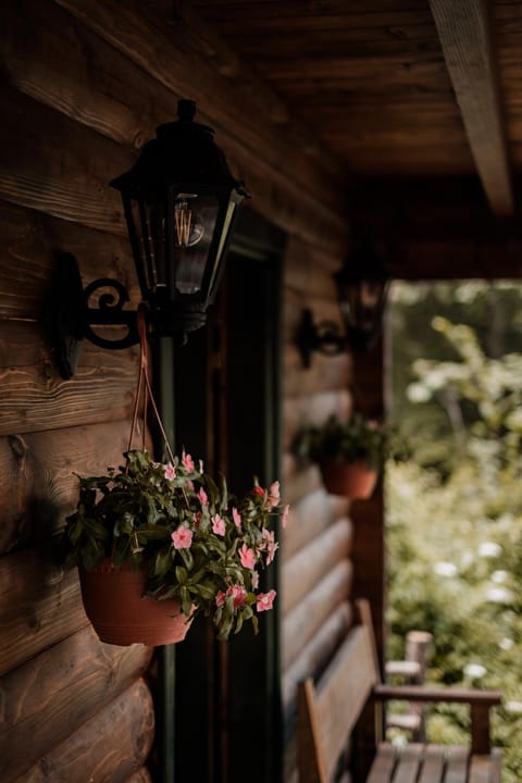 Black River House in Montenegro