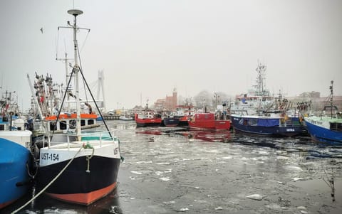 Apartament DANA piękna plaża wydmy las Apartment in Pomeranian Voivodeship